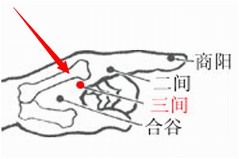 三間穴位置|三間穴位置 